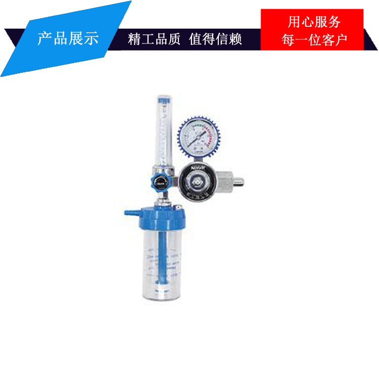 氧气吸入器 YQY-740L氧气吸入器