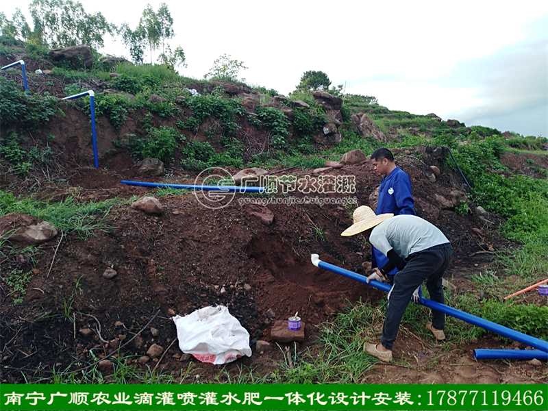广西本地专攻农业灌溉设计安装 南宁一带一进行现场技术指导