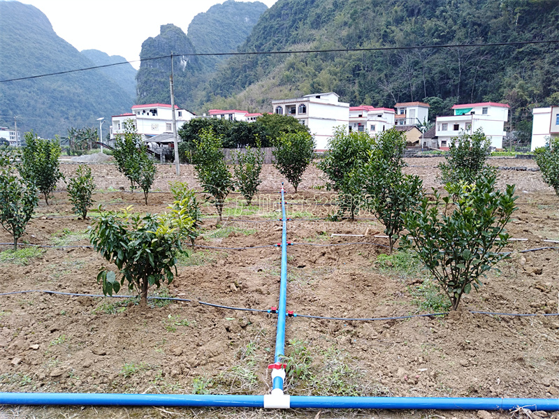 广西水肥一体化系统分区轮灌设计 在当地找南宁广顺农业科技公司