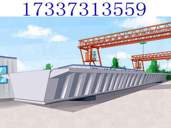 220吨提梁机用于预制梁场 昭通提梁机公司