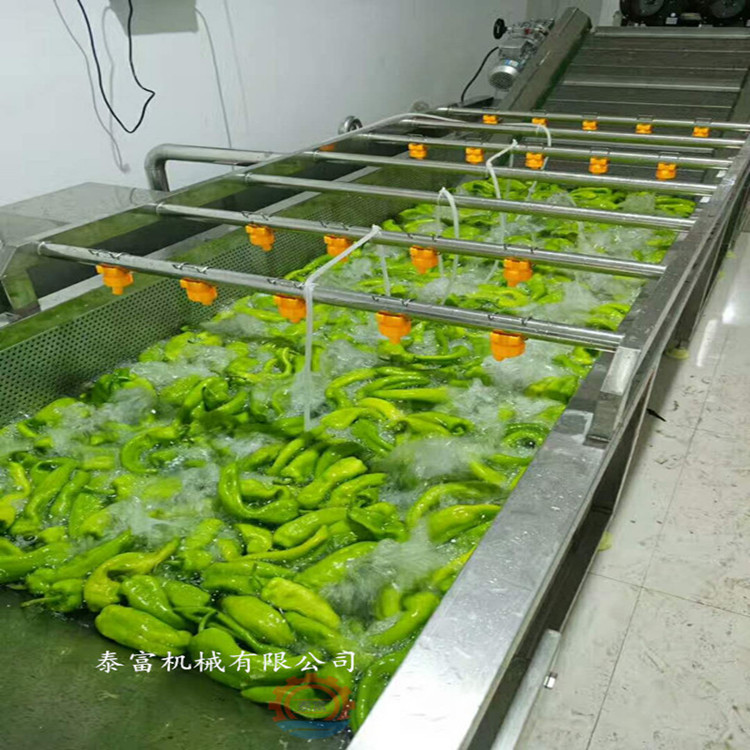 蔬菜清洗机瓜果蔬菜清洗机菌类药材清洗机