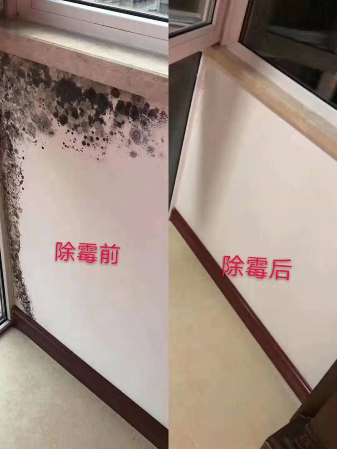 广州海珠清洁发霉公司，处理天花发霉，房屋除霉除发黑