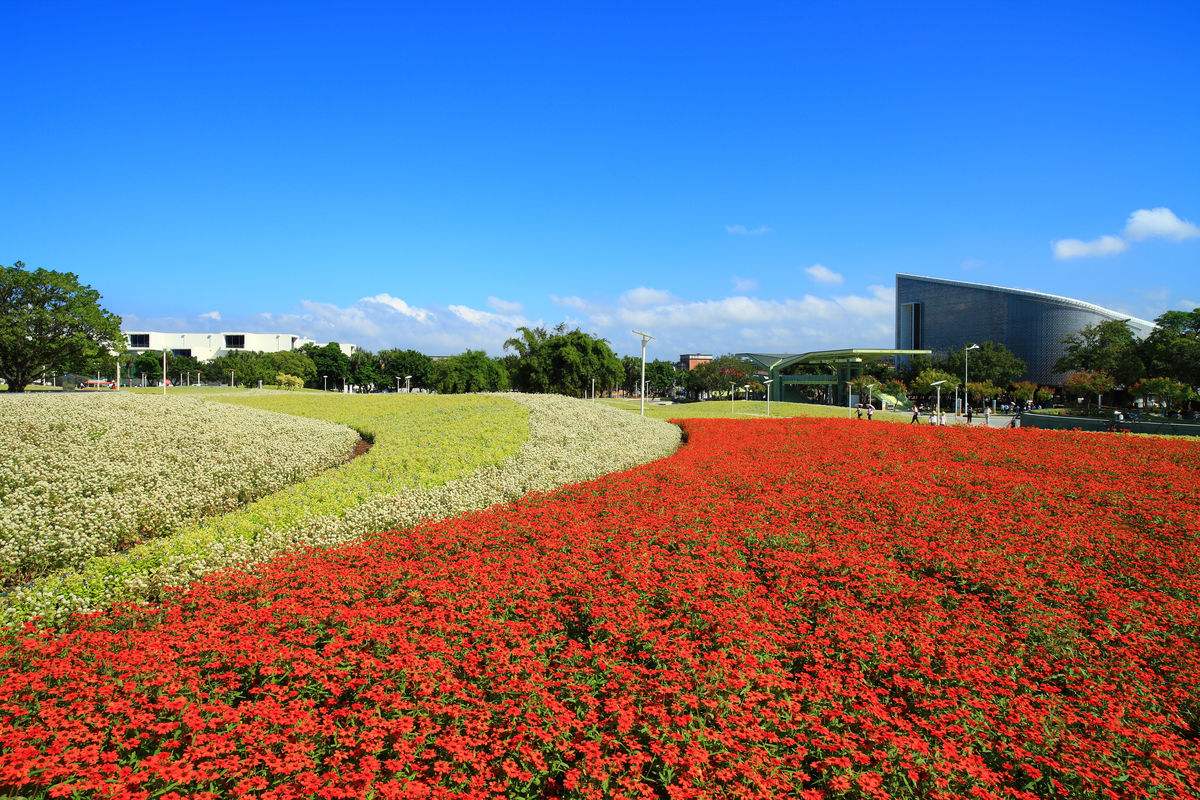 北京花卉种植基地图片